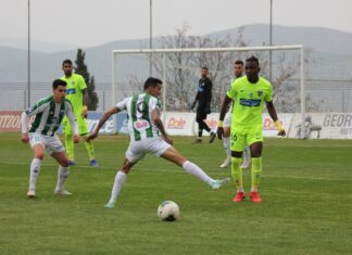 ΛΕΒΑΔΕΙΑΚΟΣ – ΙΩΝΙΚΟΣ 1-2