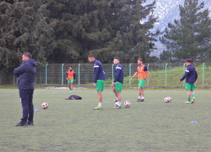 Neoi_training